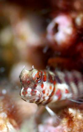 �����@�΍�